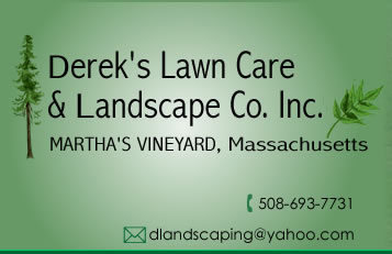 Lawn Care and Landscape